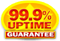 99% Uptime Guarantee